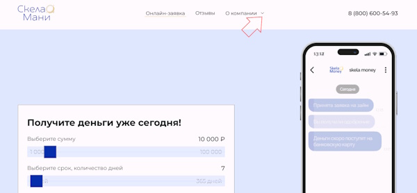 Вход в личный кабинет на сайте Скела Мани