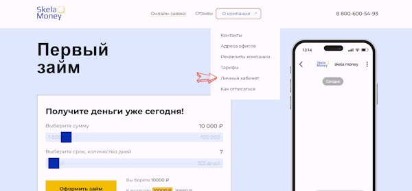Вход в личный кабинет на сайте skela.money